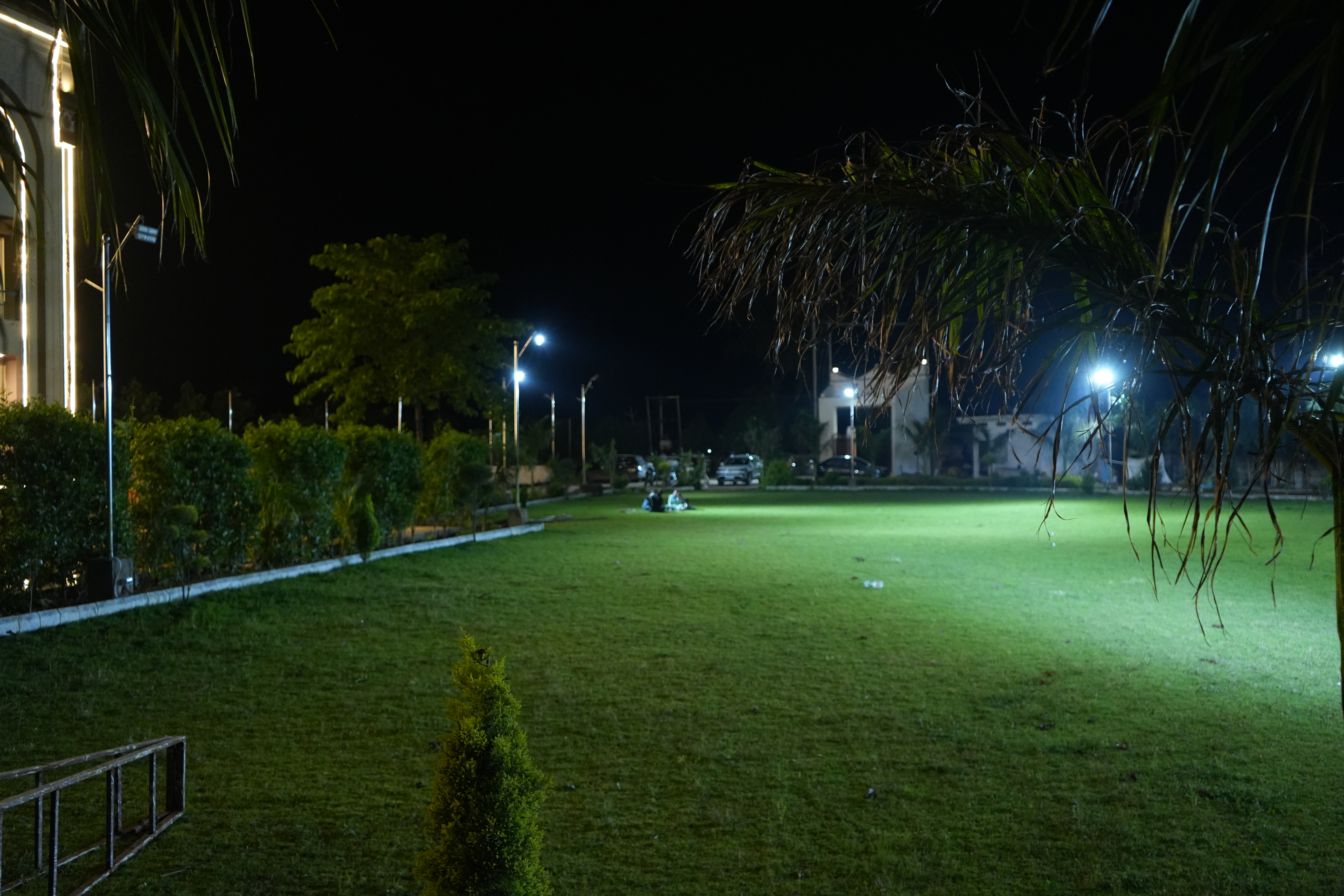 The Royal Lawn