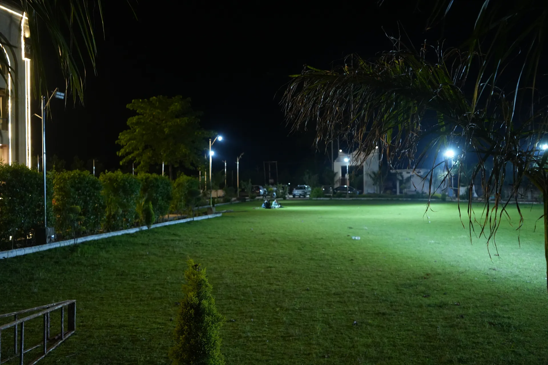 Landscaped Lawn